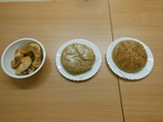 Lištička Mia ve školce